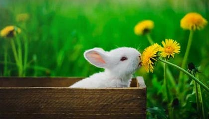 开云体育登录-世界田径大赛中国队再获佳绩,世界田径大赛中国队再获佳绩是什么