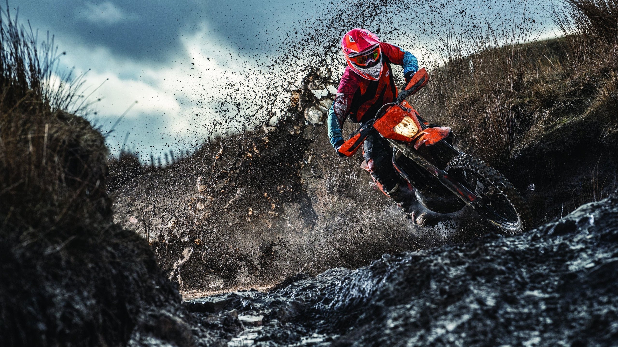 体育新闻中心推动体育内容跨境传播合作计划，体育产业新闻